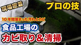 食品工場のカビ取り＆清掃現場に密着【HACCP】10年間溜まった汚れとカビが綺麗になるのか？！ [upl. by Schwing]