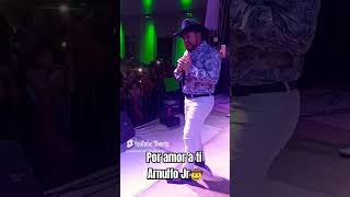 De los temas románticos para todos ustedes ARNULFO JR [upl. by Airemat61]