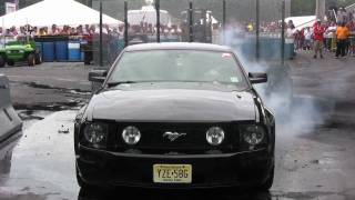 2010 Carlisle Ford Nationals Burnouts [upl. by Hsejar314]