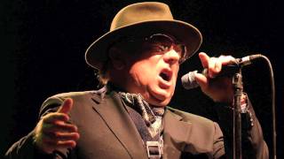 Tupelo Honey  Van Morrison Live in San Francisco [upl. by Corson]