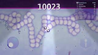 Snake io with buggy snakes troll in map snake io Mobile [upl. by Eniretac]