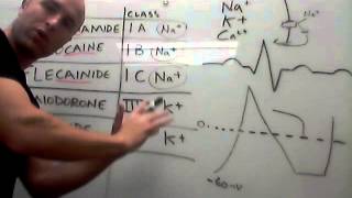 Cardiovascular Procainamide Lidocaine Flecainide Amiodorone Ibutilide [upl. by Sset]