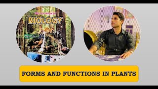 Class 11th  Forms And Functions In Plant  Lecture 2  Gaseous Exchange In Plants [upl. by Baudin]