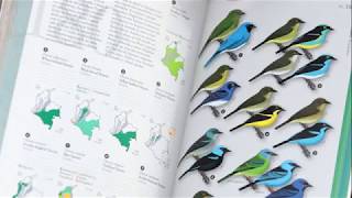 Fernando Ayerbe Quiñones autor de la Guía ilustrada de la Avifauna Colombiana [upl. by Ardene]