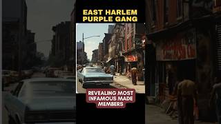 EAST HARLEM PURPLE GANG  Which Members Got Made into the Five Families genovesefamily [upl. by Yetsirhc980]