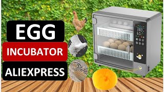 Top 5 Best Egg Incubator in 2024 on Aliexpress [upl. by Sirromal]