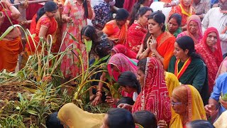 UdayGopal Bhaskar is live Rajsamand jila mukhyalay sthit Dwarkadhish Mandir mein Govardhan puja 2024 [upl. by Atcele]