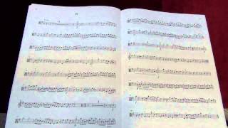 Suzuki Viola School Vol 4 No 5 Concero in G minor IV [upl. by Kennith600]