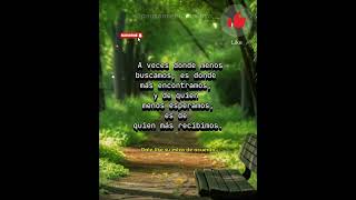 frases frasesdeinspiracion frasesmotivacion reflexion frasesmotivadoras [upl. by Fawcett]