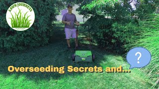 How to Dethatch and Overseed with Sun Joe [upl. by Rafat]