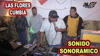 LAS FLORES CUMBIA SONIDO SONORAMICO [upl. by Neirod]