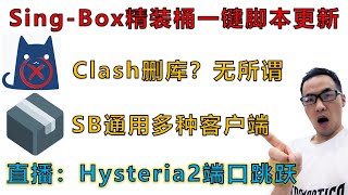 Singbox精装桶小白一键脚本二：纯IPV6 VPS搭建，SFASFISFW三合一配置复制导入，CDN优选IP设置汇总、官方配置添加删除节点的细节操作要点，全平台多种客户端一个脚本全套带走 [upl. by Erl]