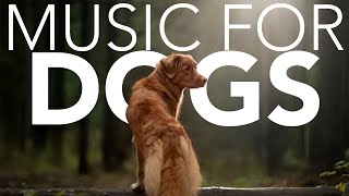 NO ADS Relaxing Music for Dogs Calming ASMR NEW 2021 [upl. by Astrix]