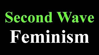 Feminism  Lecture 2 Second Wave Feminism  in Hindi amp English [upl. by Laenahtan]