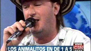 C5N  MUSICA LOS ANIMALITOS EN DE 1 A 5 [upl. by Nrev]