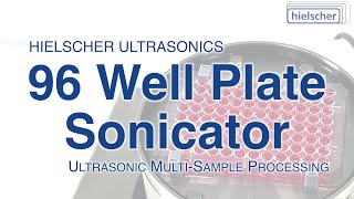 96 Well Plate Sonicator for Sample Preparation  UIP400MTP by Hielscher [upl. by Ynnoj]