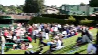 Bee Swarm Attacks Wimbledon Fans [upl. by Alduino106]