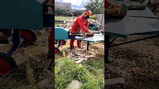 Best Log splitter firewood woodwork diy [upl. by Nnalorac]