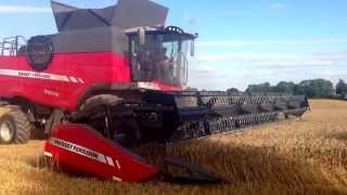 Brand New Massey Ferguson 9380 Delta combine on demonstration in the UK for the first time in wheat [upl. by Eessej]