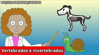 Animales vertebrados e invertebrados para niños Video de Peques Aprenden Jugando [upl. by Melgar747]