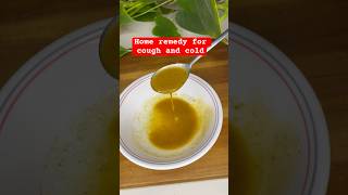 Home Remedy for Cough and Cold [upl. by Eannej669]