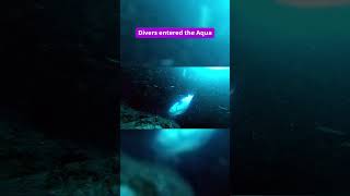 Cave Diving Disasters  the incredible story of the Aqua Cueva [upl. by Samson827]