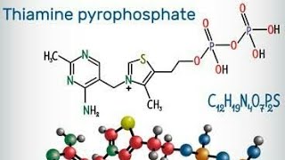 Thiamine Pyrophosphate amp Lipoic Acid  Very Easy WayImportant Of MSc [upl. by Alwitt]