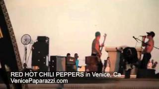 073011 Red Hot Chili Peppers  Adventures of Rain Dance Maggie video shoot Venice California [upl. by Aleekahs]