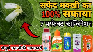 Whitefly Control top 7 best insecticide combinations सफेद मक्खी का 100 सफाया white fly control [upl. by Enoval]