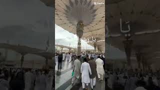 Asalam o alika yea rasool allah ﷺ shorts viralvideo madina [upl. by Amalee137]