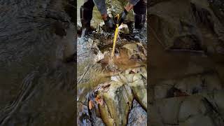 Anwar cracking bedrock and crevicing goldpanning goldmining gold [upl. by Lyris]