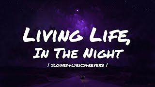 Living Life In The Night  Slowed  Lyrics  Reverb   Cherrimoya amp Sierra Kid [upl. by Thayer163]