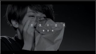 楊丞琳Rainie Yang  失憶的金魚 Official HD MV [upl. by Waterman587]