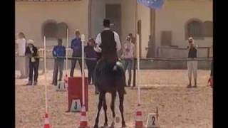 Rolf Janzen  Working Equitation EM 2008 [upl. by Juley]