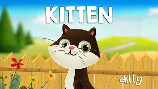 THE KITTEN – Ditty  Songs for kids Animated nursery rhymes for children [upl. by Loram]