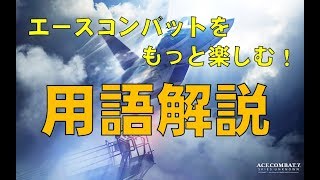 【エースコンバット7】エスコンをもっと楽しむ！専門用語解説！【解説】 [upl. by Asemaj213]