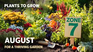 Top Plants to Grow in August for a Thriving Zone 7 Garden [upl. by Desirae]