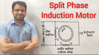 Split Phase Induction Motor  Working amp Applications [upl. by Ahsemed740]