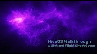 HiveOS Walkthrough  Wallet and Flight Sheet Setup [upl. by Trudnak]