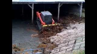 Kubota SVL 90 Loading wet Manure [upl. by Arlo]