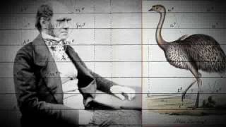 Biografía de Charles Darwin [upl. by Nemlaz506]