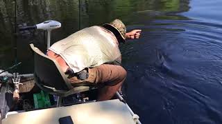 Ocklawaha River Bass Fishing 2018 [upl. by Llehsal]