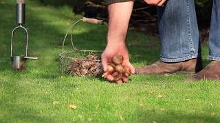 Sneeboer Bulb Planter [upl. by Namyw]