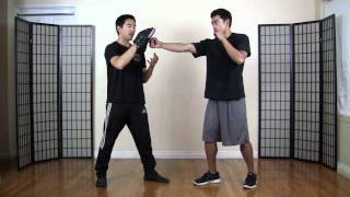 Martial Arts Focus Mitt Holding101 Part I [upl. by Nelyk]