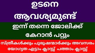 Job Vacancy Kerala today 2024 Kerala job vacancy Malayalam [upl. by Ahseined646]