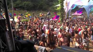 Mindwave Live  OZORA Festival 2011 [upl. by Nednyl]