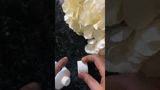 EMBRYOLISSE moisturiser for dry skin ❤️ please subscribe like shade comment art makeuplook art [upl. by Aisyle]