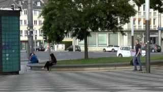 Kurzer Spaziergang über den Kasseler Scheidemannplatz [upl. by Syl]