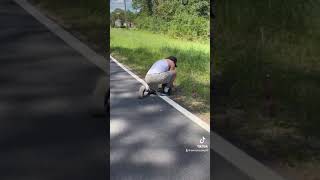 Eastern Diamondback Rattlesnake capture in Coffee County Georgia [upl. by Grannie818]