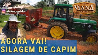 SILAGEM DE CAPIM ELEFANTE PARAÍSO Agora vai [upl. by Swor]